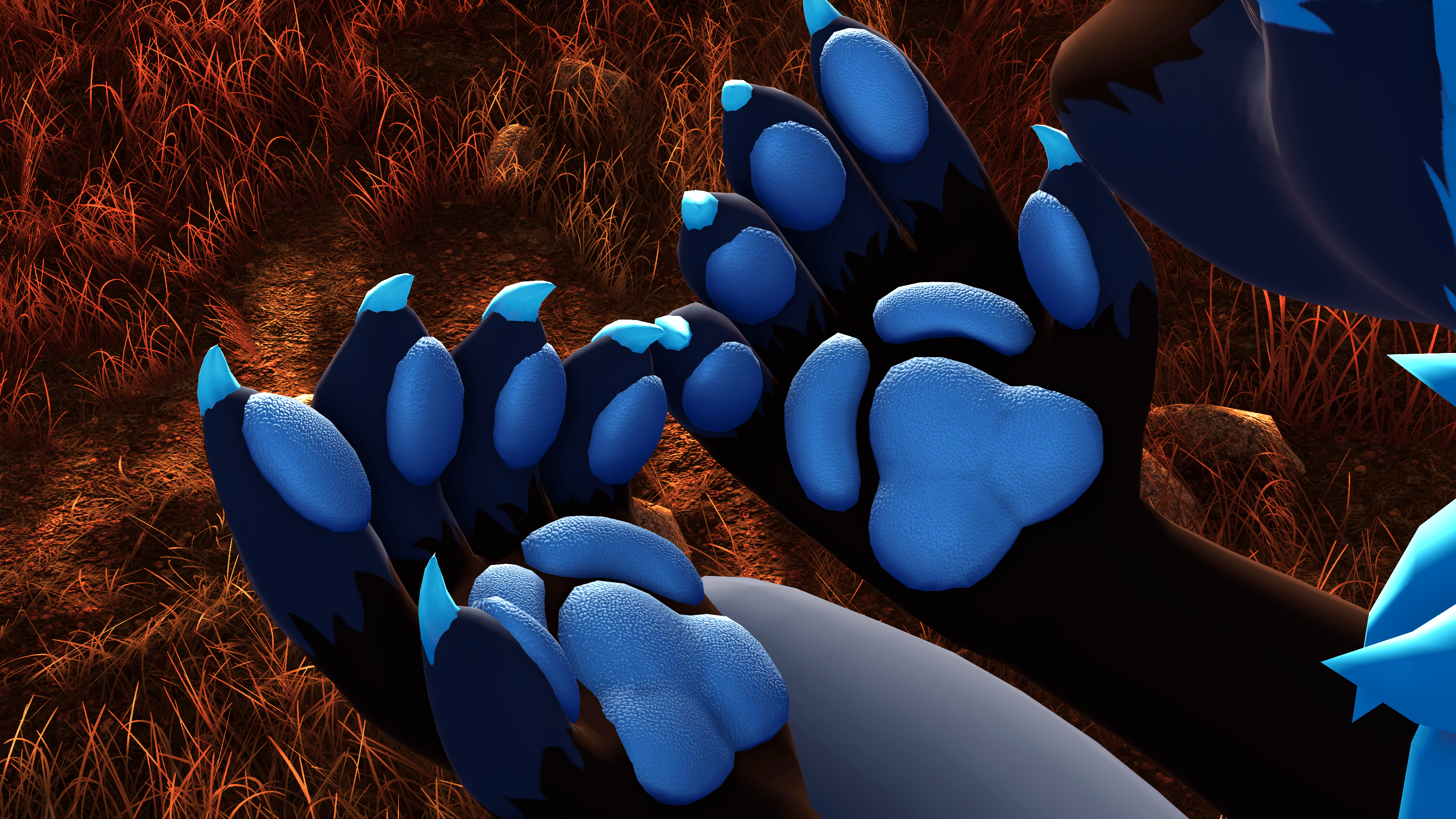 Better beans for Nardoragon