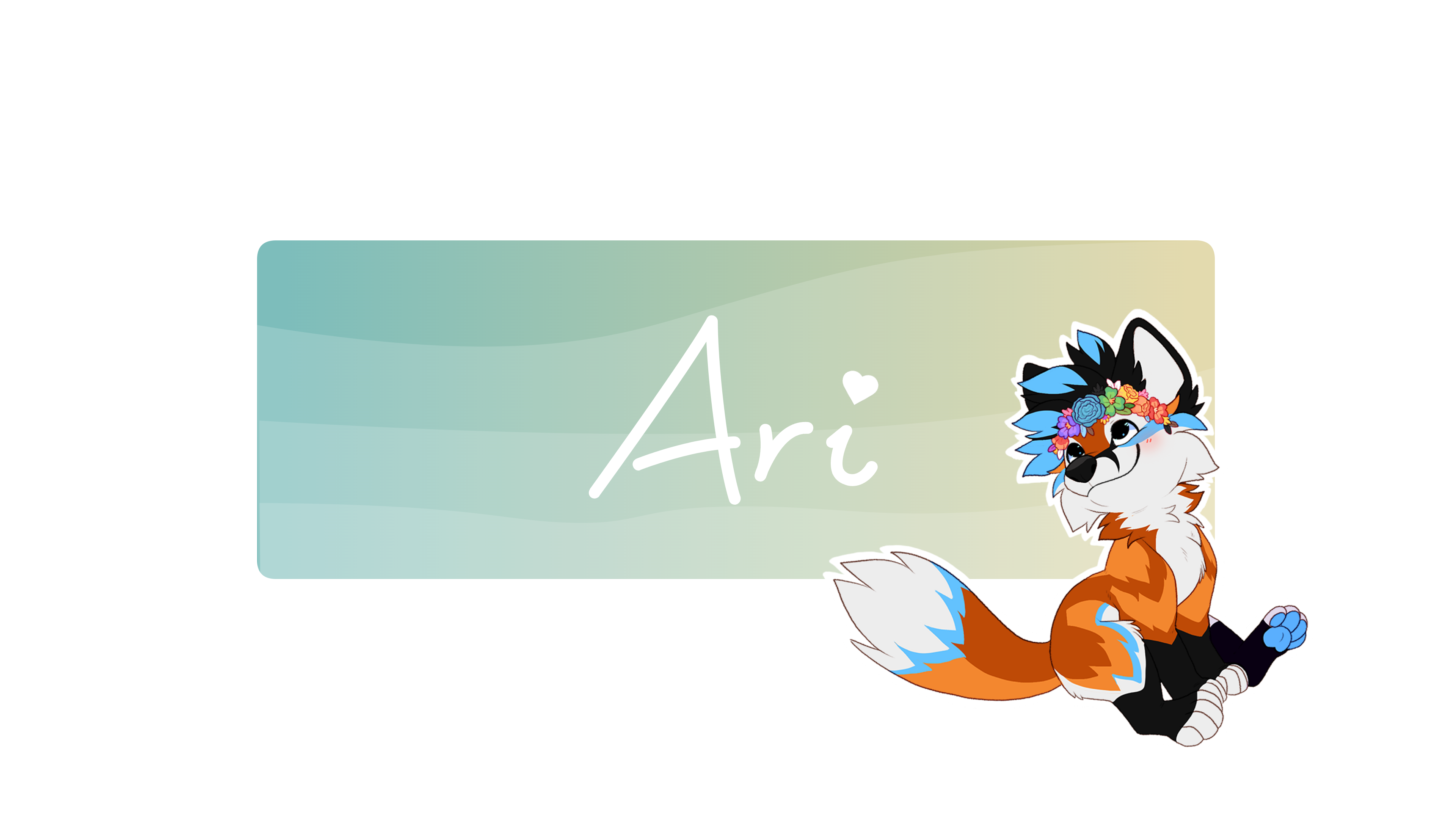 Banner Background