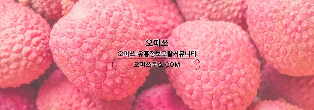 배너 배경