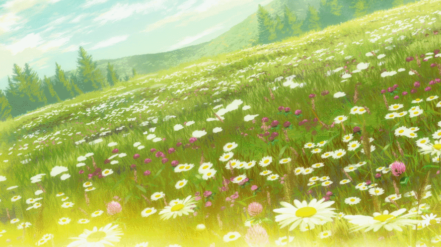 Banner Background