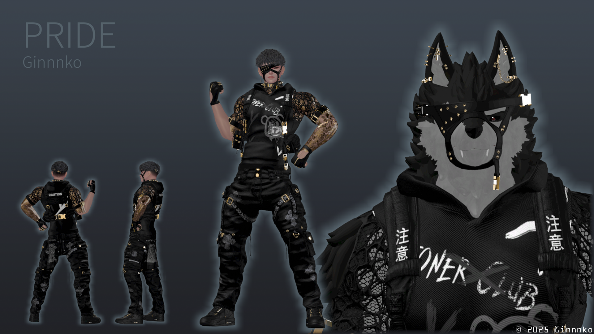 PRIDE PC/QUEST/OPTIMIZED