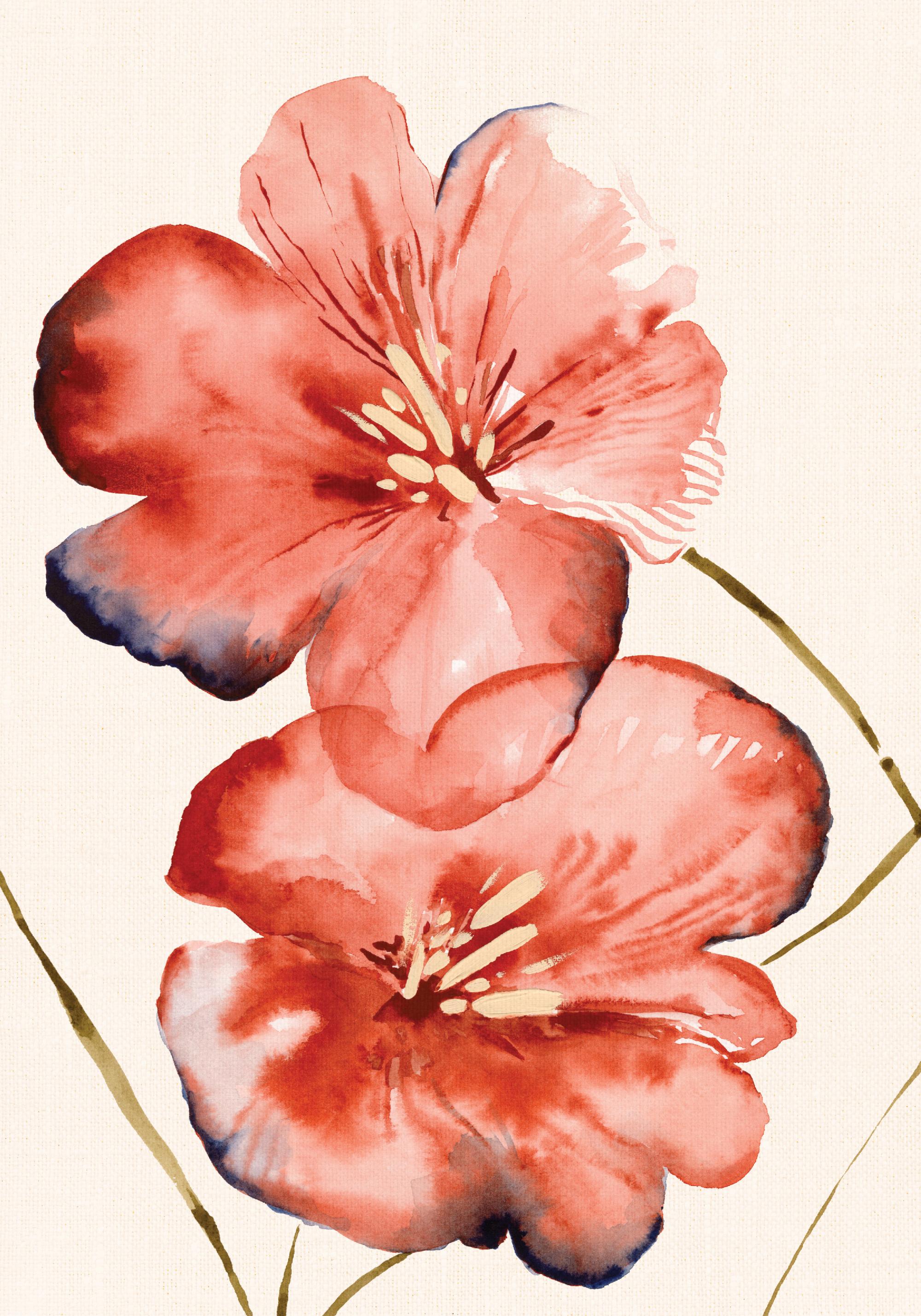 Banner Background