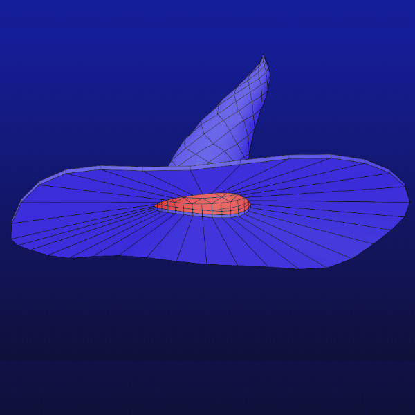 Witches Hat