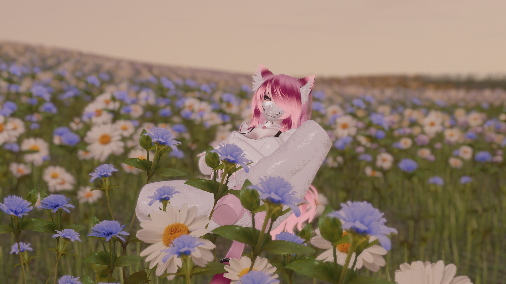 Banner Background