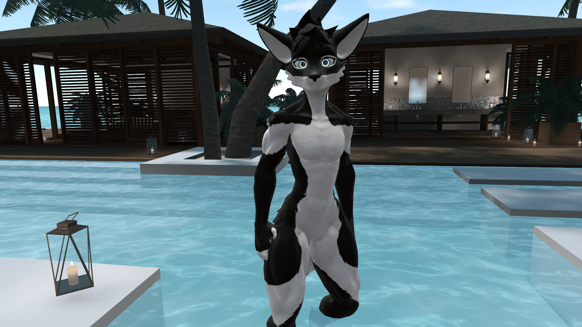 Husky Viwi Texture