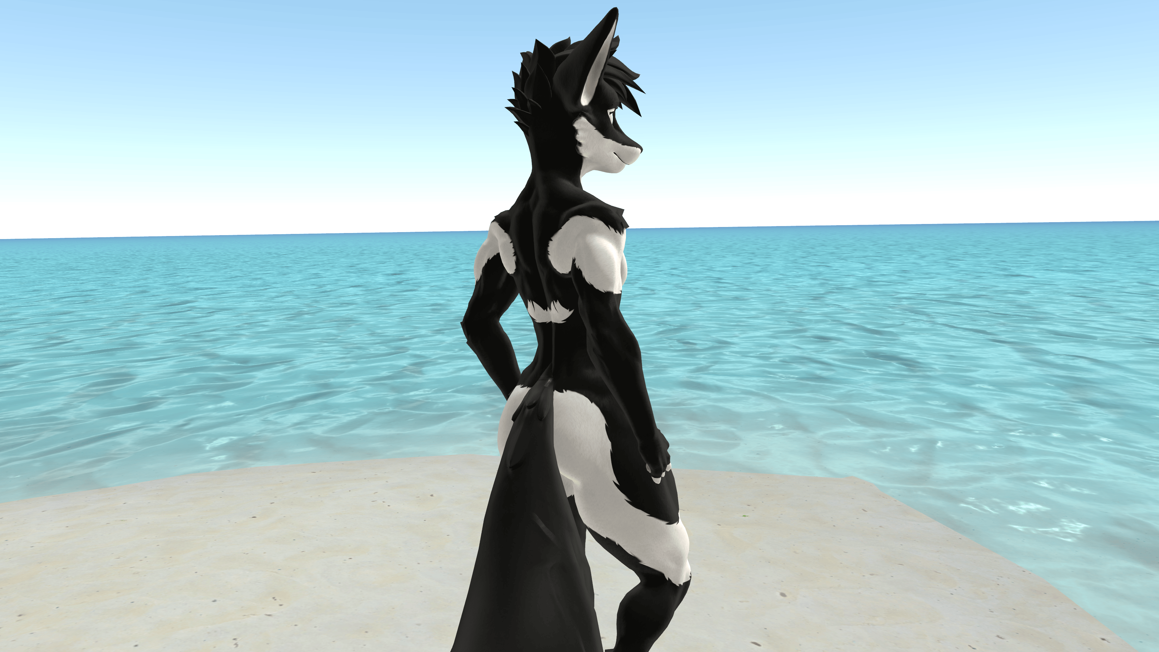 Husky Viwi Texture