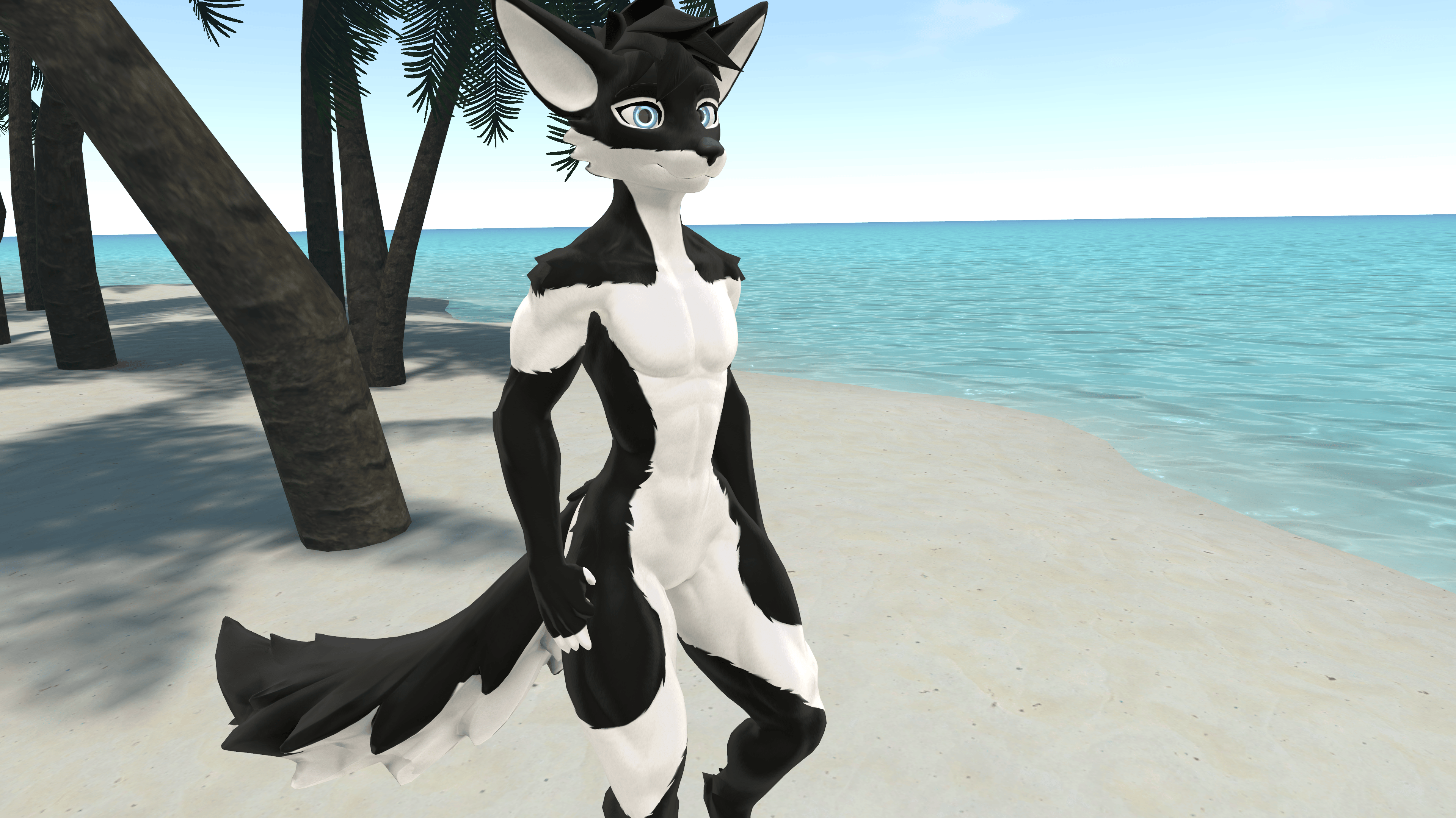 Husky Viwi Texture