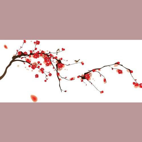 Banner Background