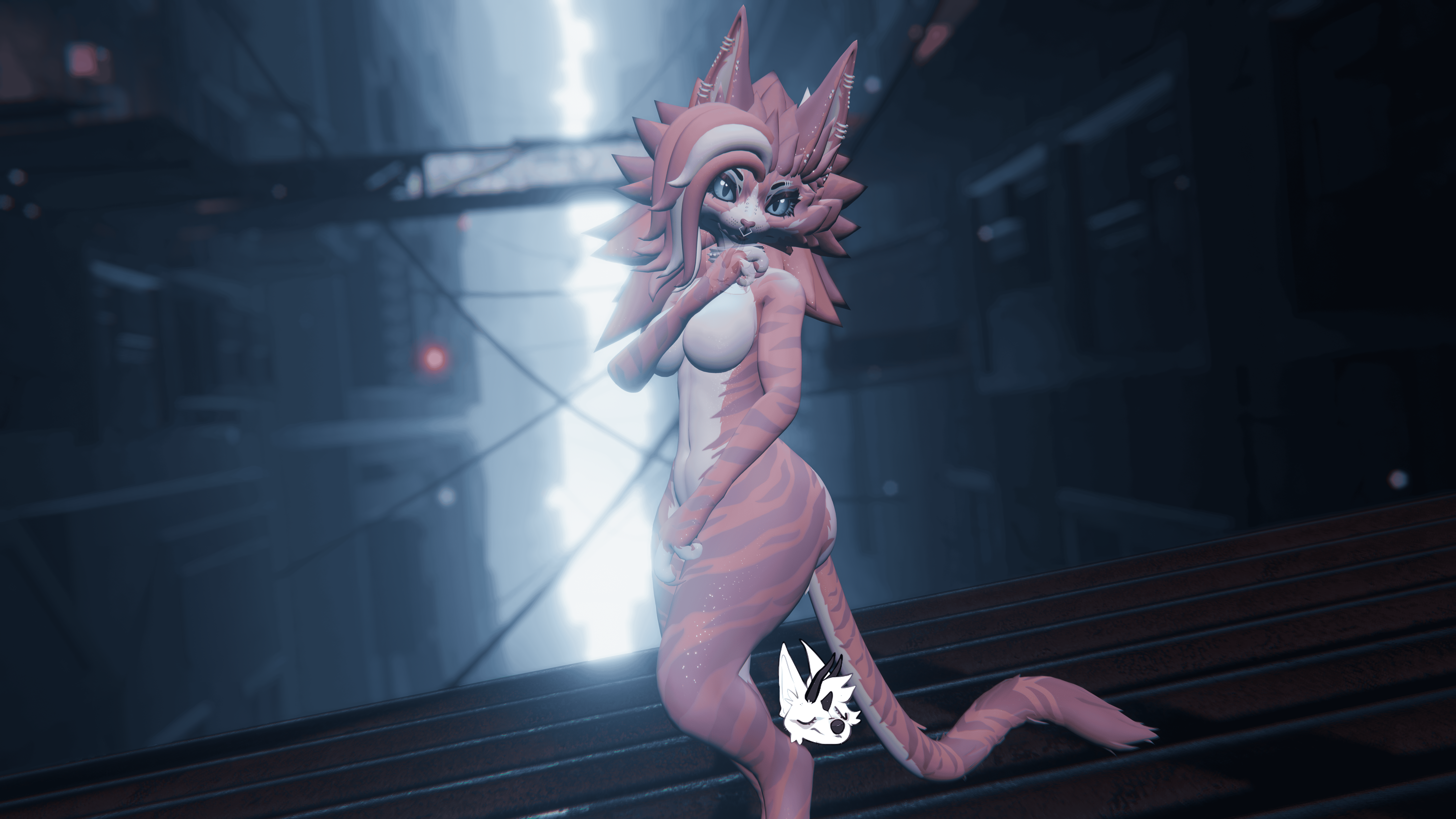 KFN Unnatural tabby - Stardust