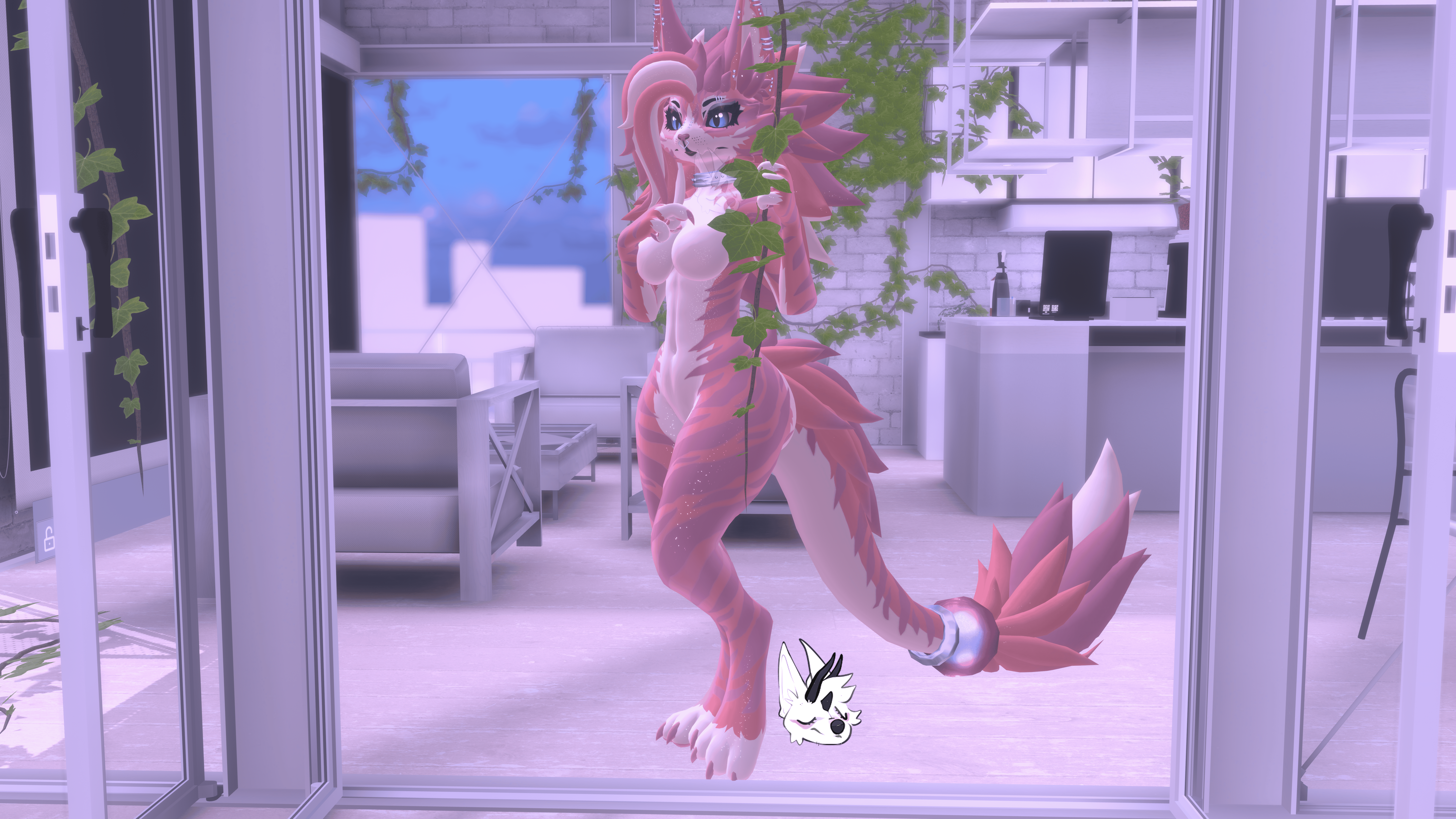 KFN Unnatural tabby - Stardust