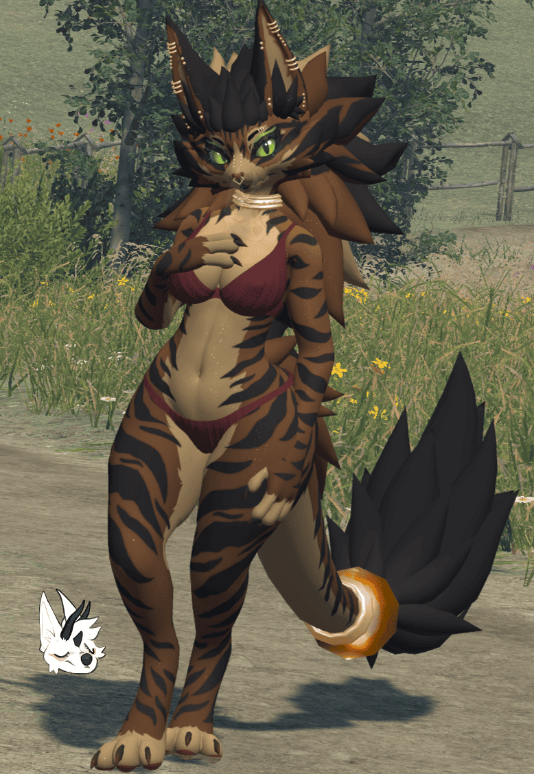 KFN Natural tabby - Brown