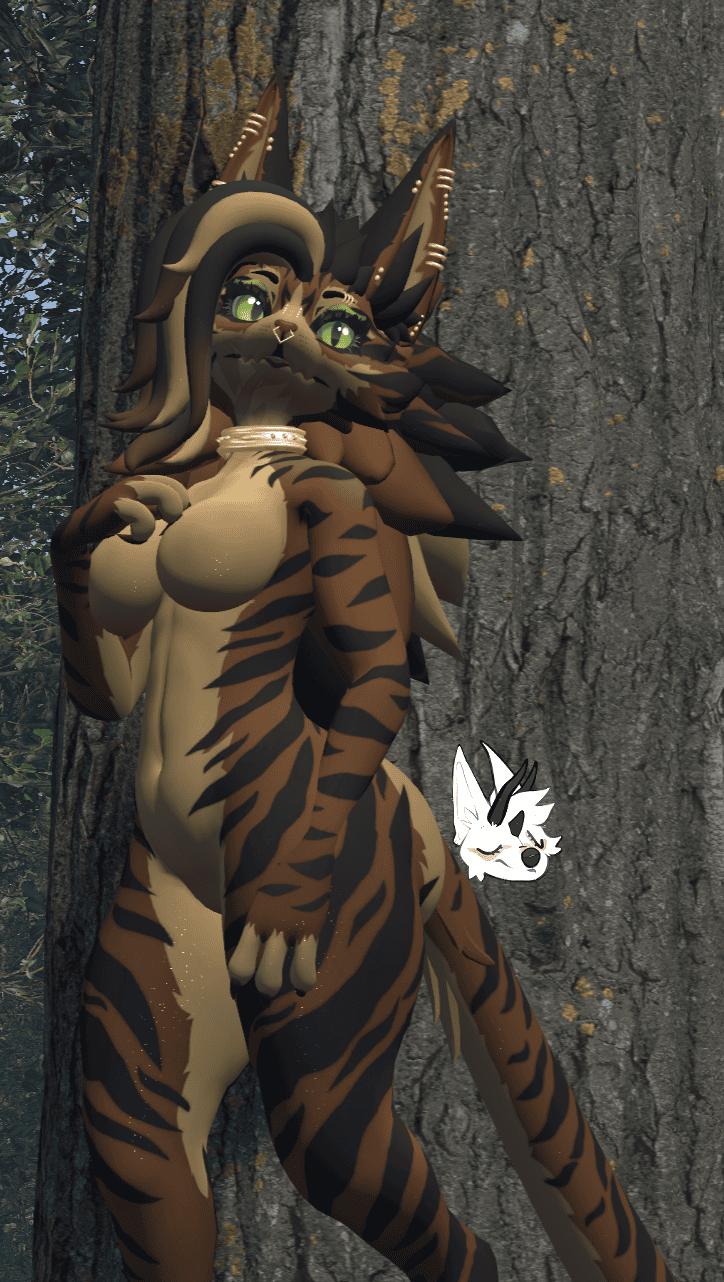 KFN Natural tabby - Brown