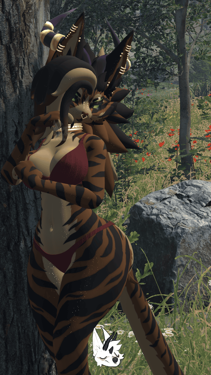 KFN Natural tabby - Brown