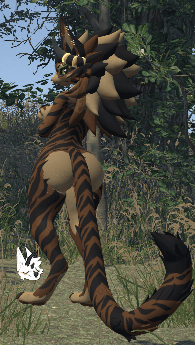 KFN Natural tabby - Brown
