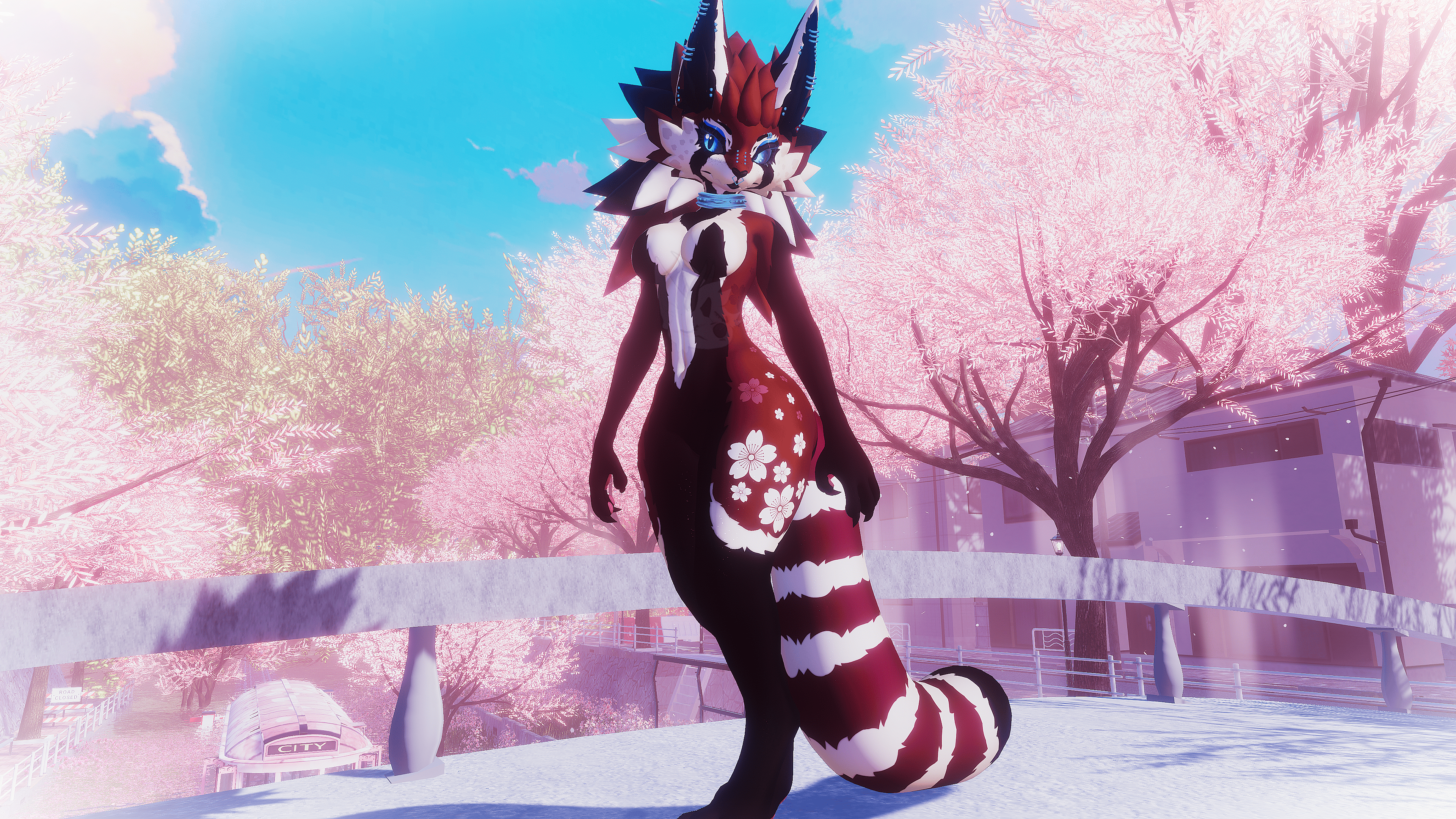 Red Panda KFN