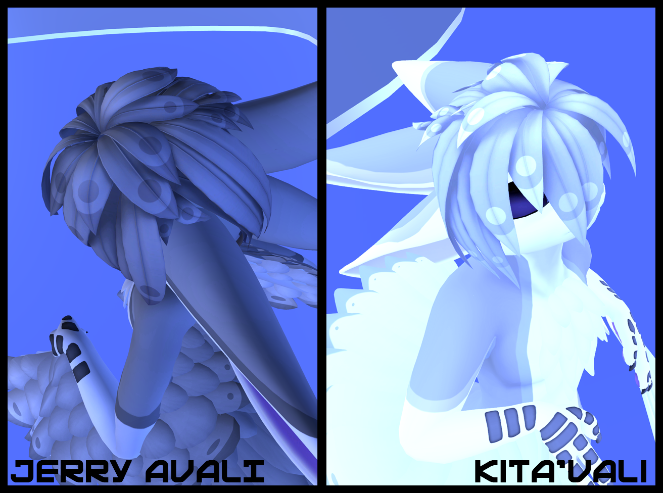 Shy Avali Featherhair