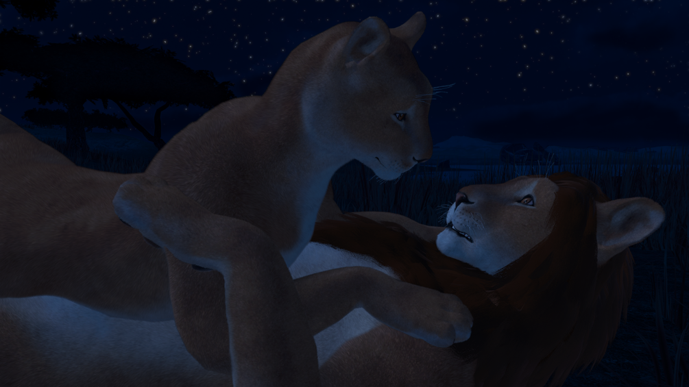 Completely Feline - Lion Edition