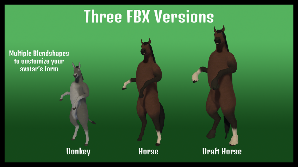 Completely Equine