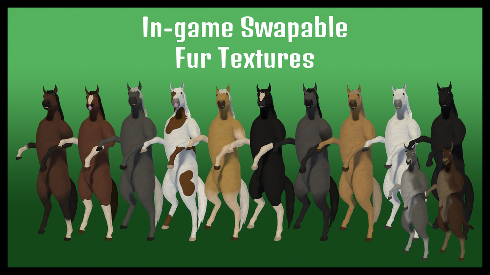 Completely Equine