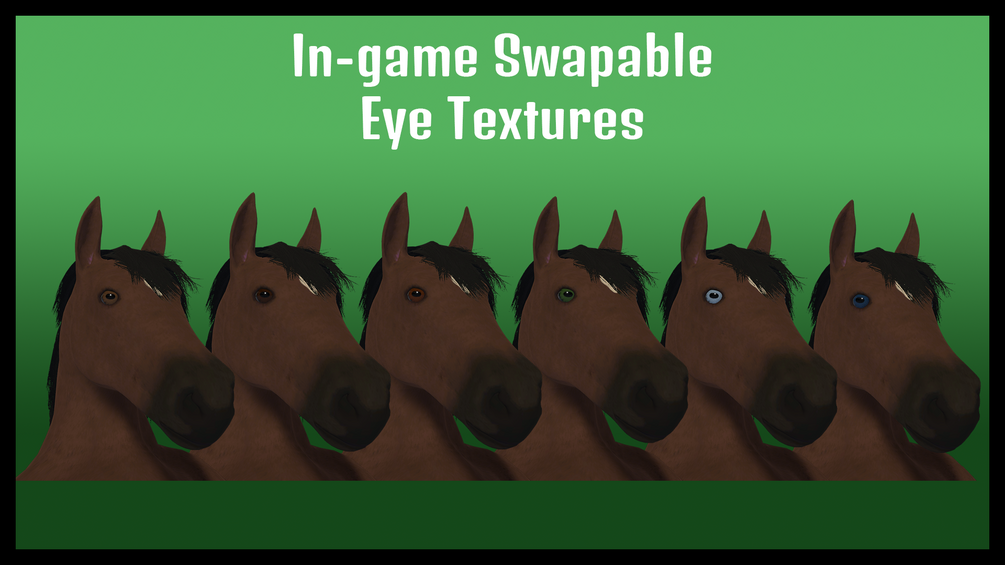 Completely Equine