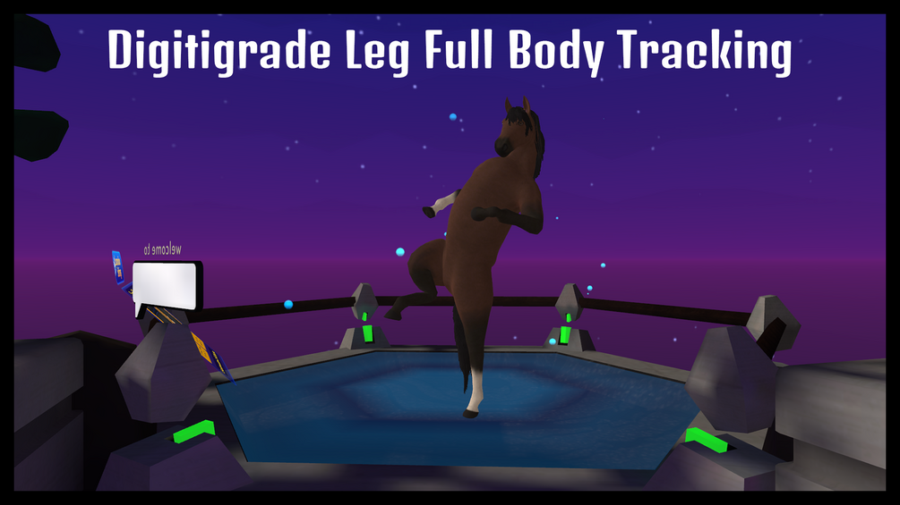 Completely Equine