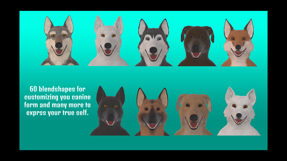 Completely Canine
