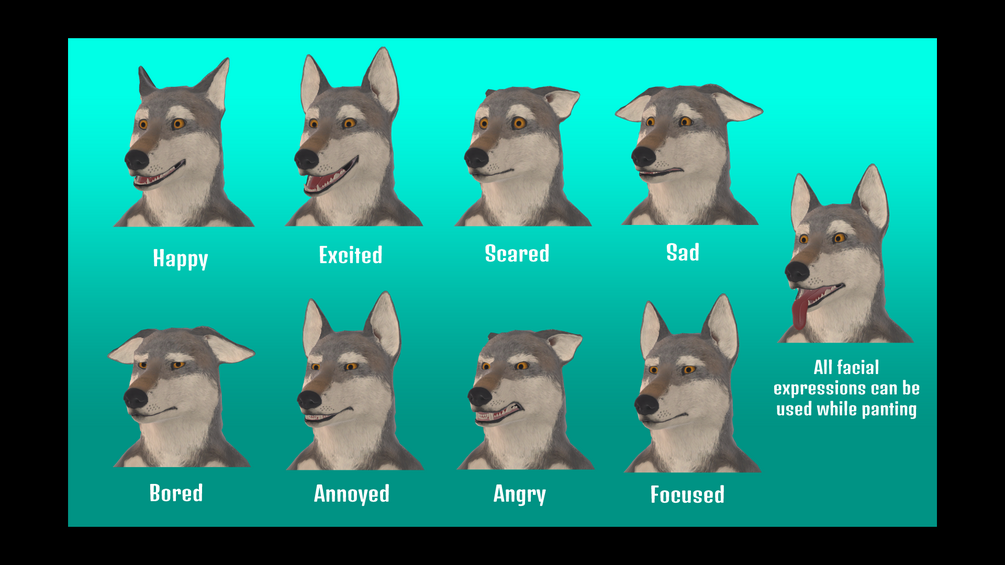 Completely Canine