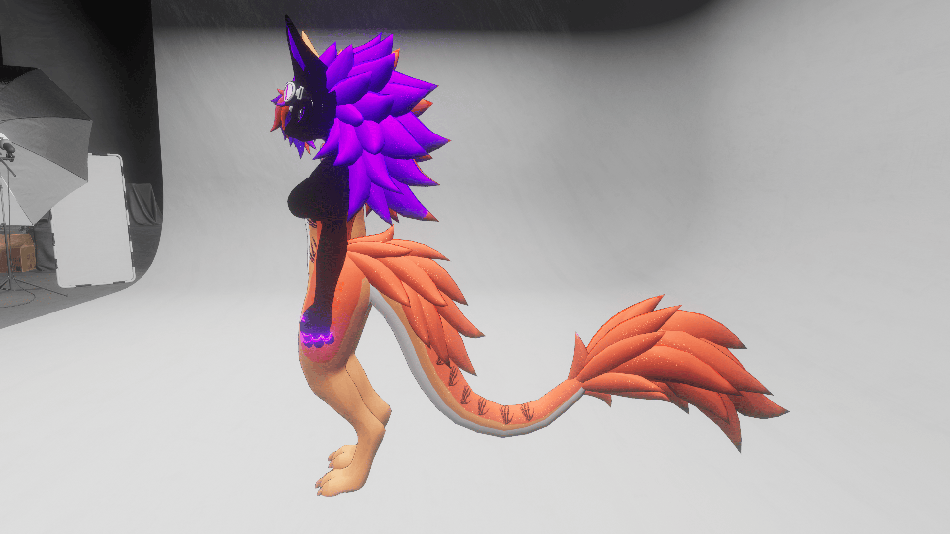 Rose Bloom Nova