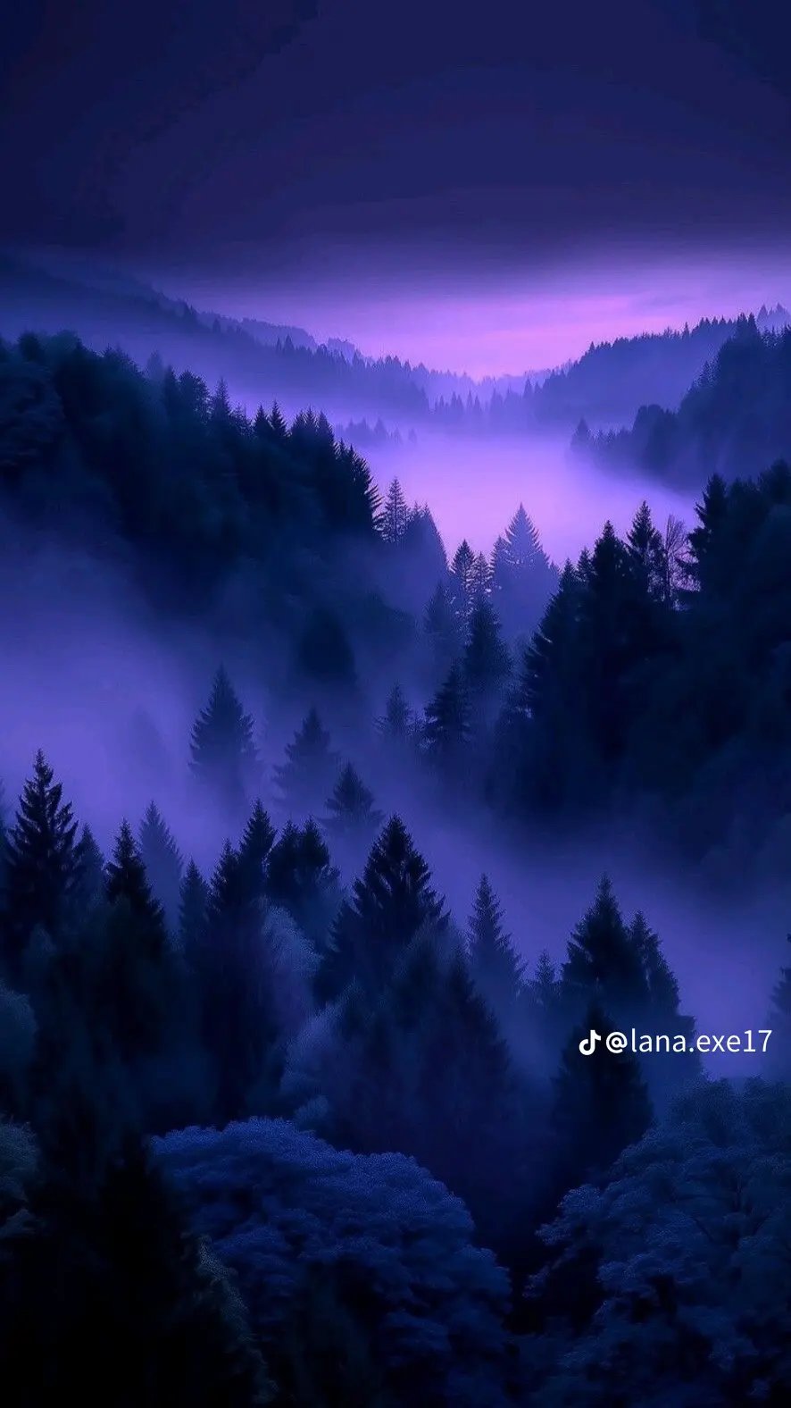 Banner Background