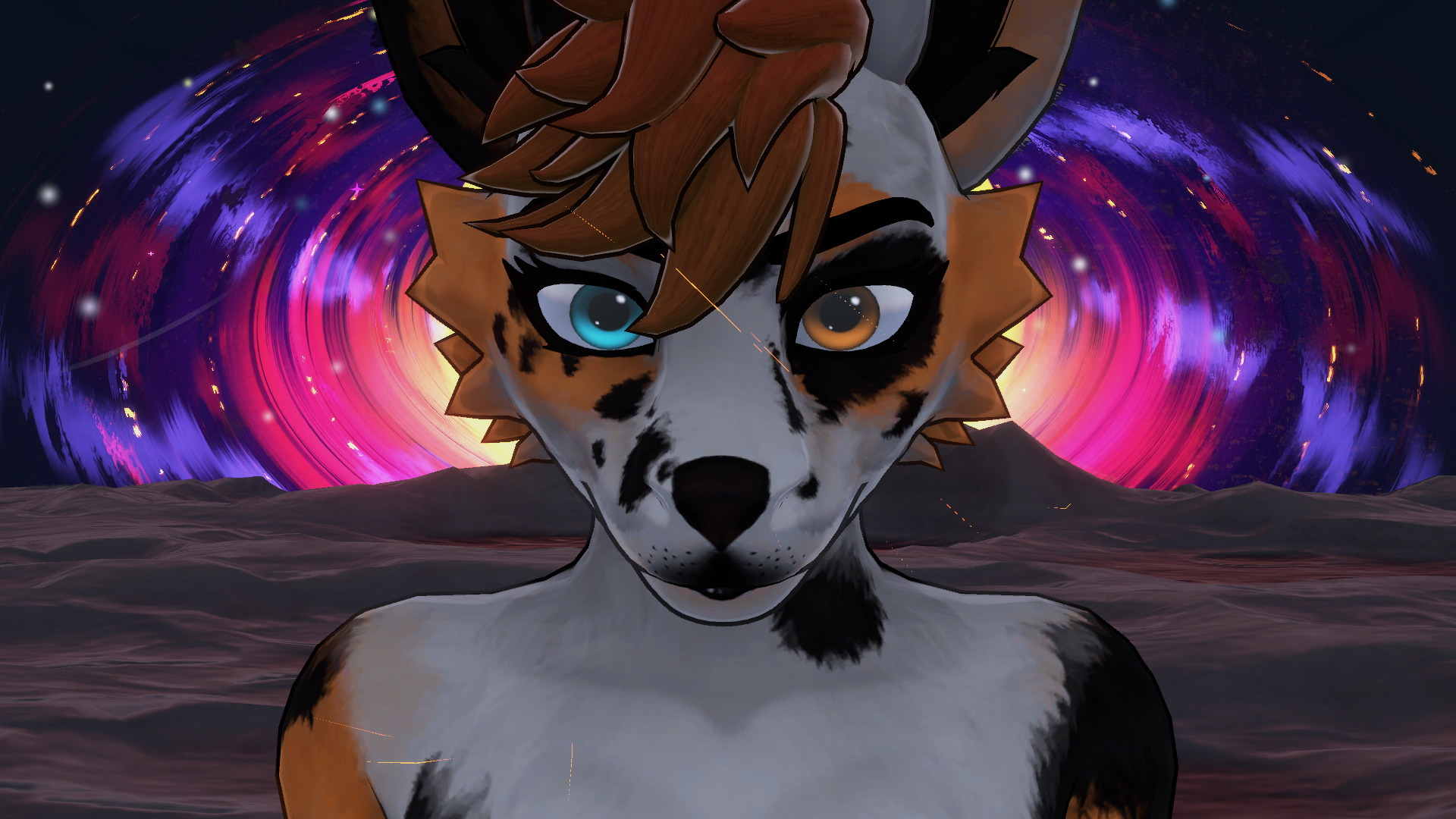 Aussie Shepard Waggan Texture