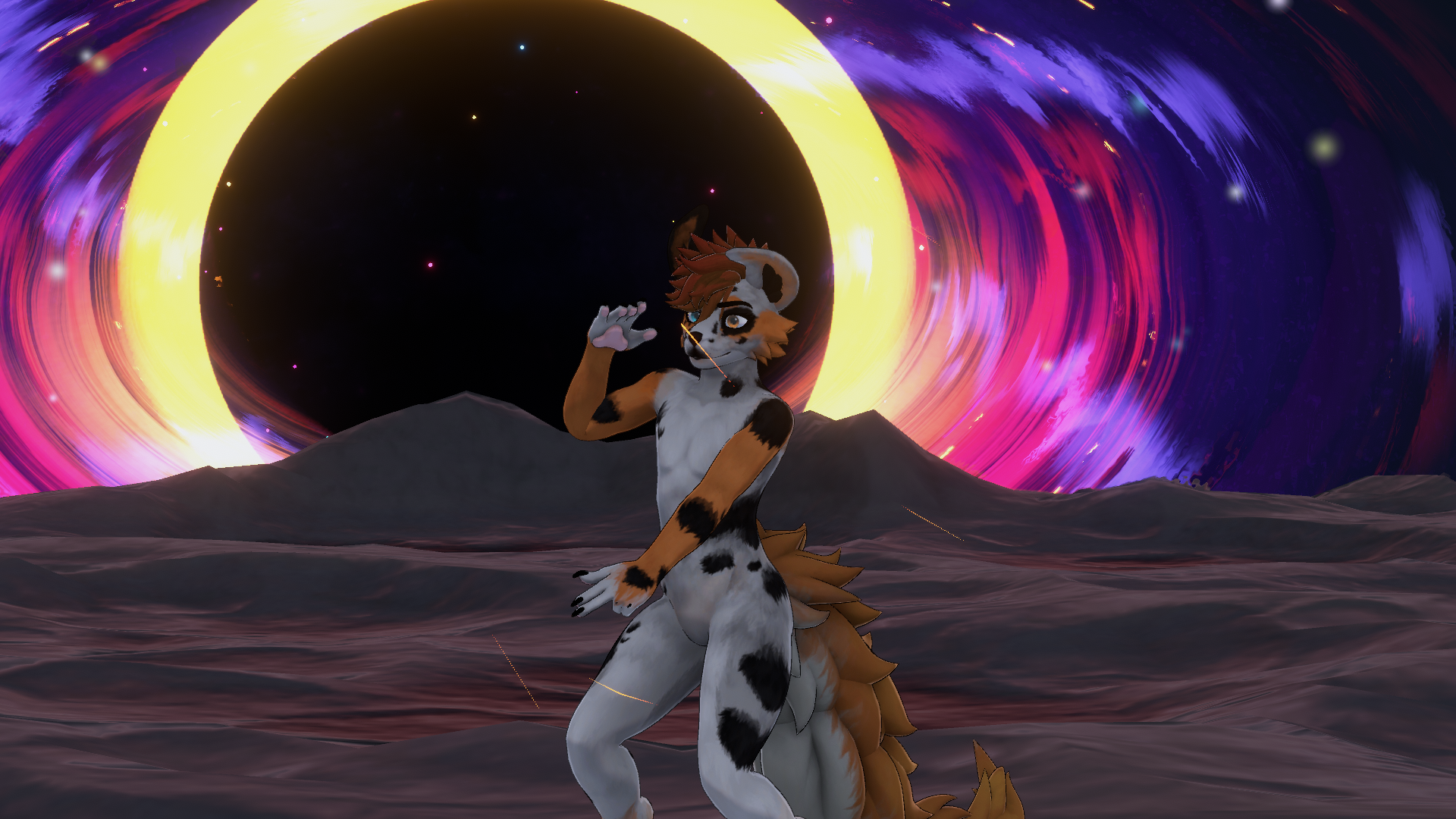 Aussie Shepard Waggan Texture