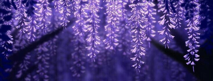 Banner Background