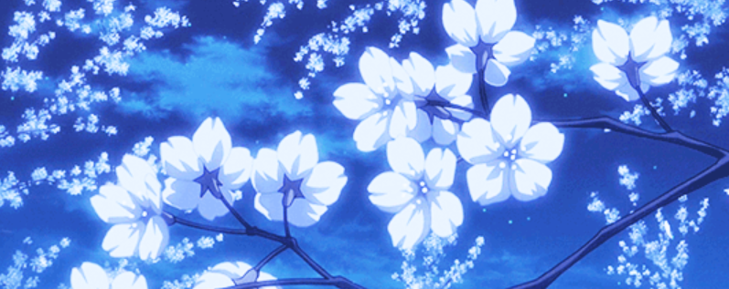 Banner Background