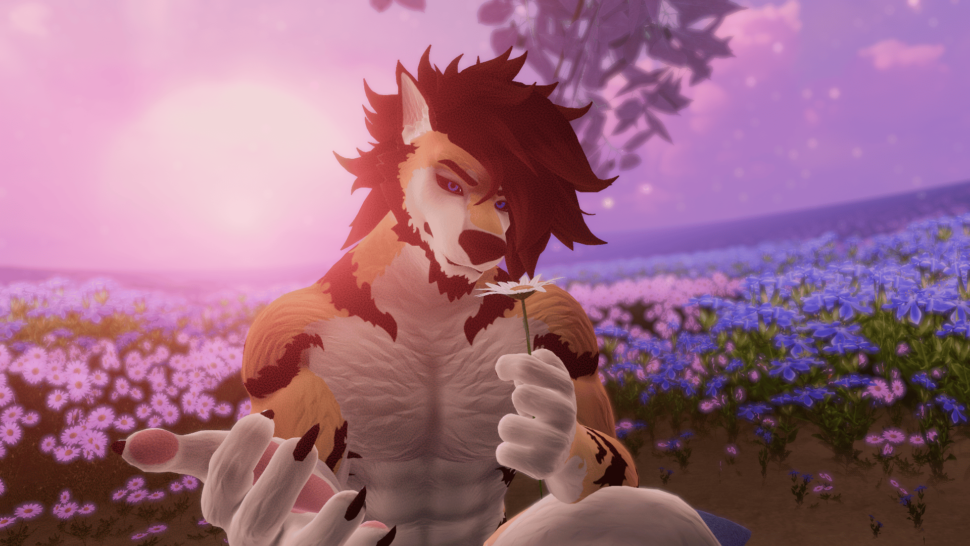 Bee Wolfman Texture