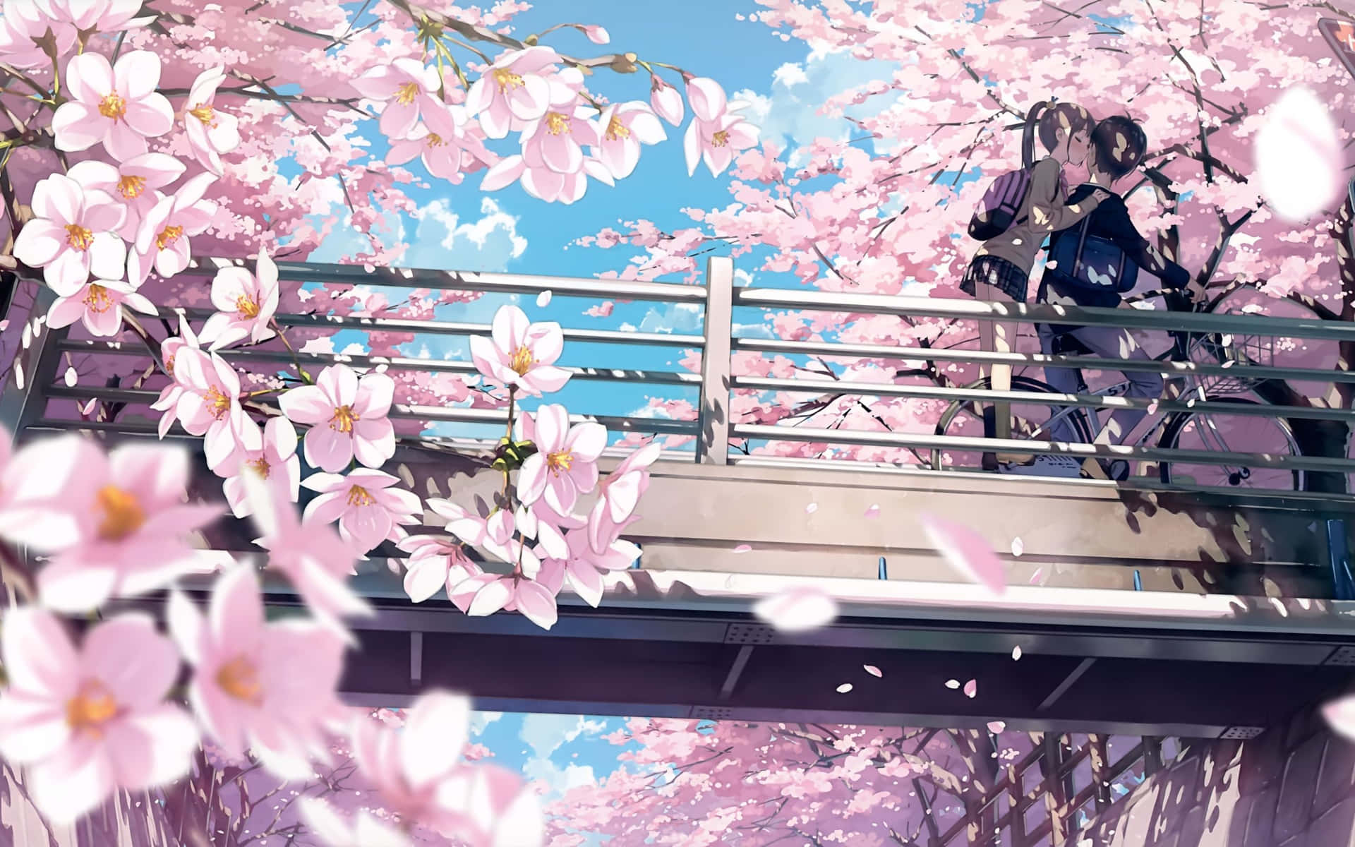 Banner Background