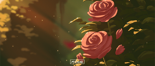 Banner Background