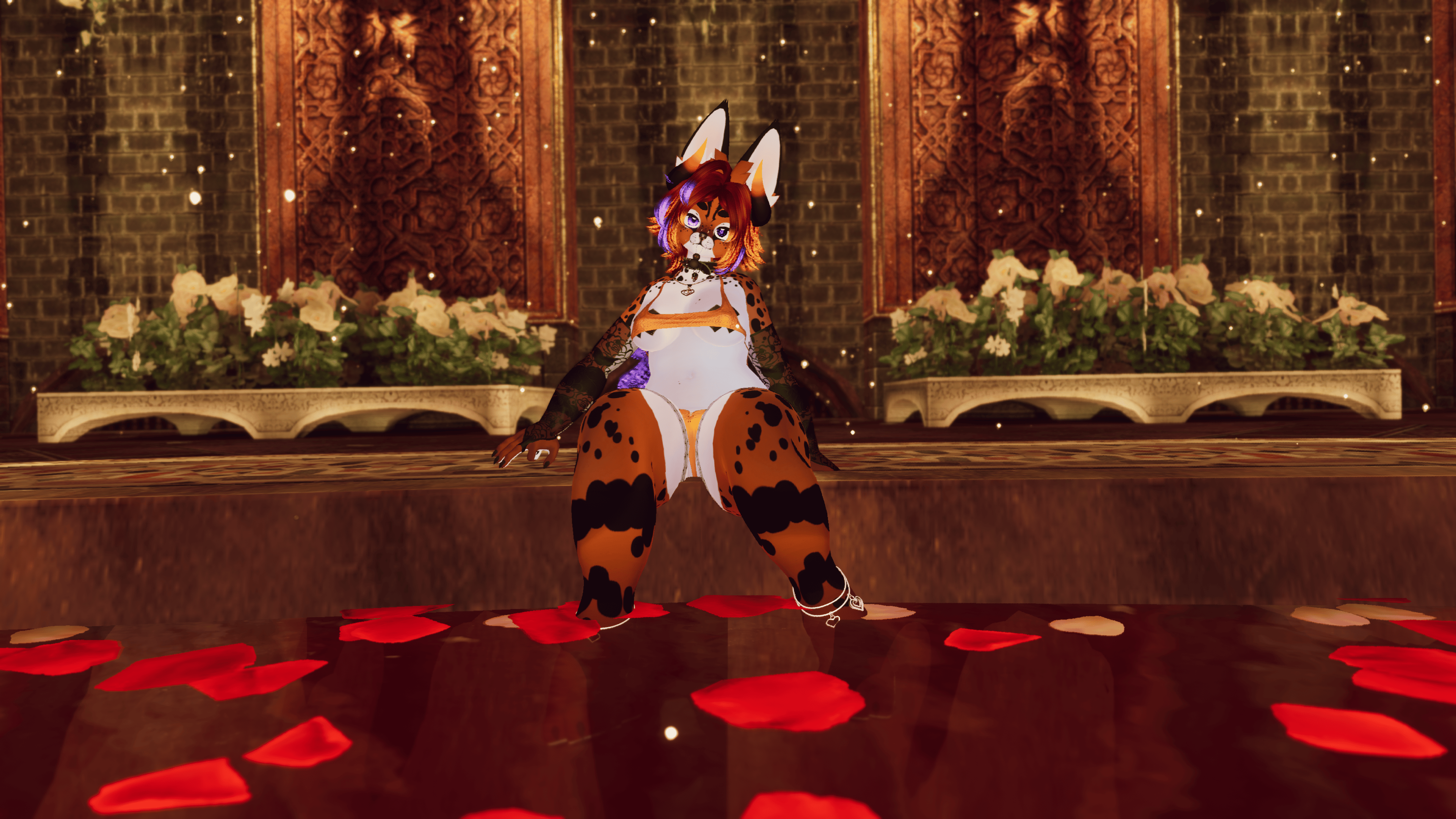 Calypso | Opti | PC | FT | GoGo | Genderfluid