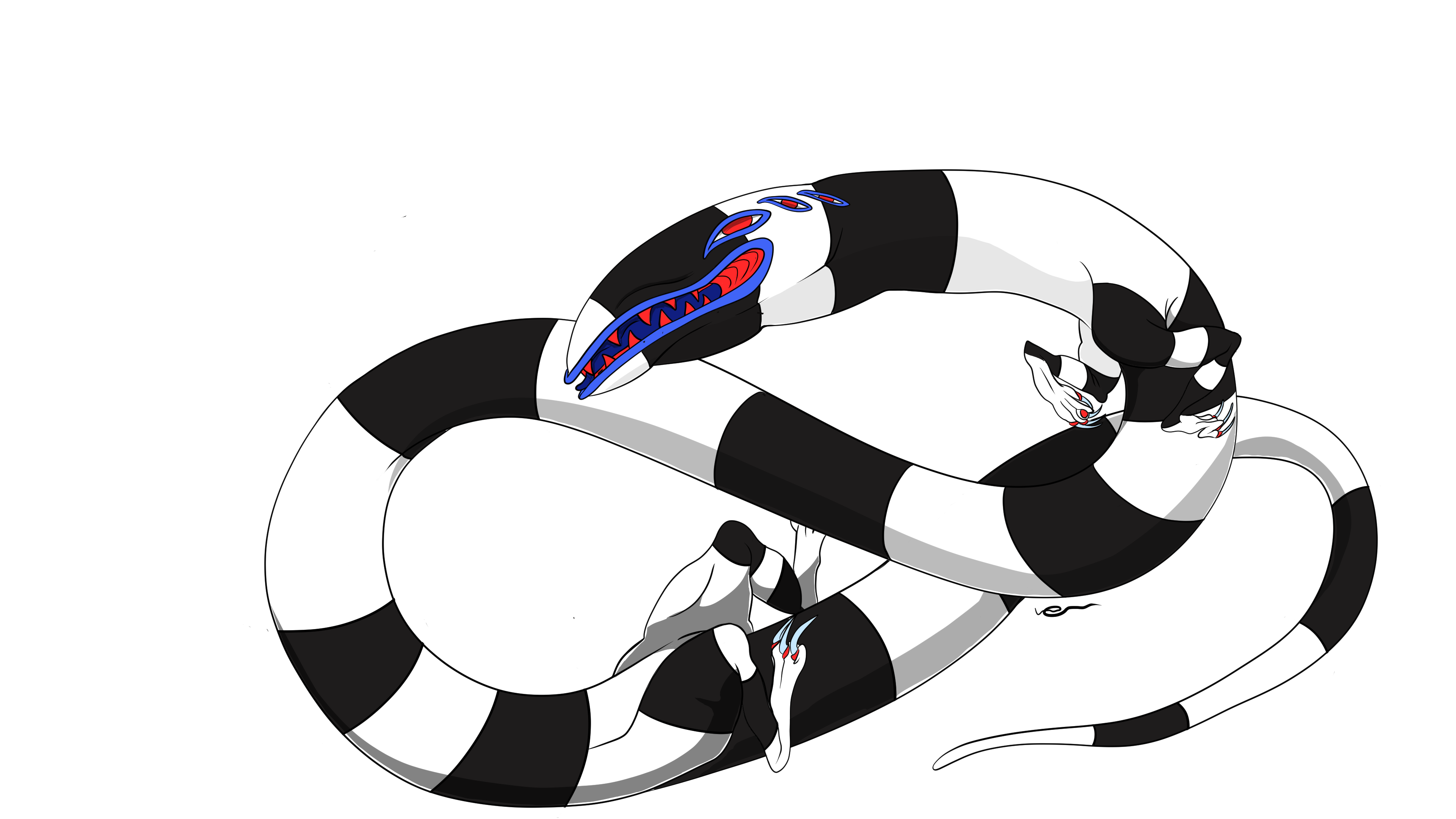 Banner Background