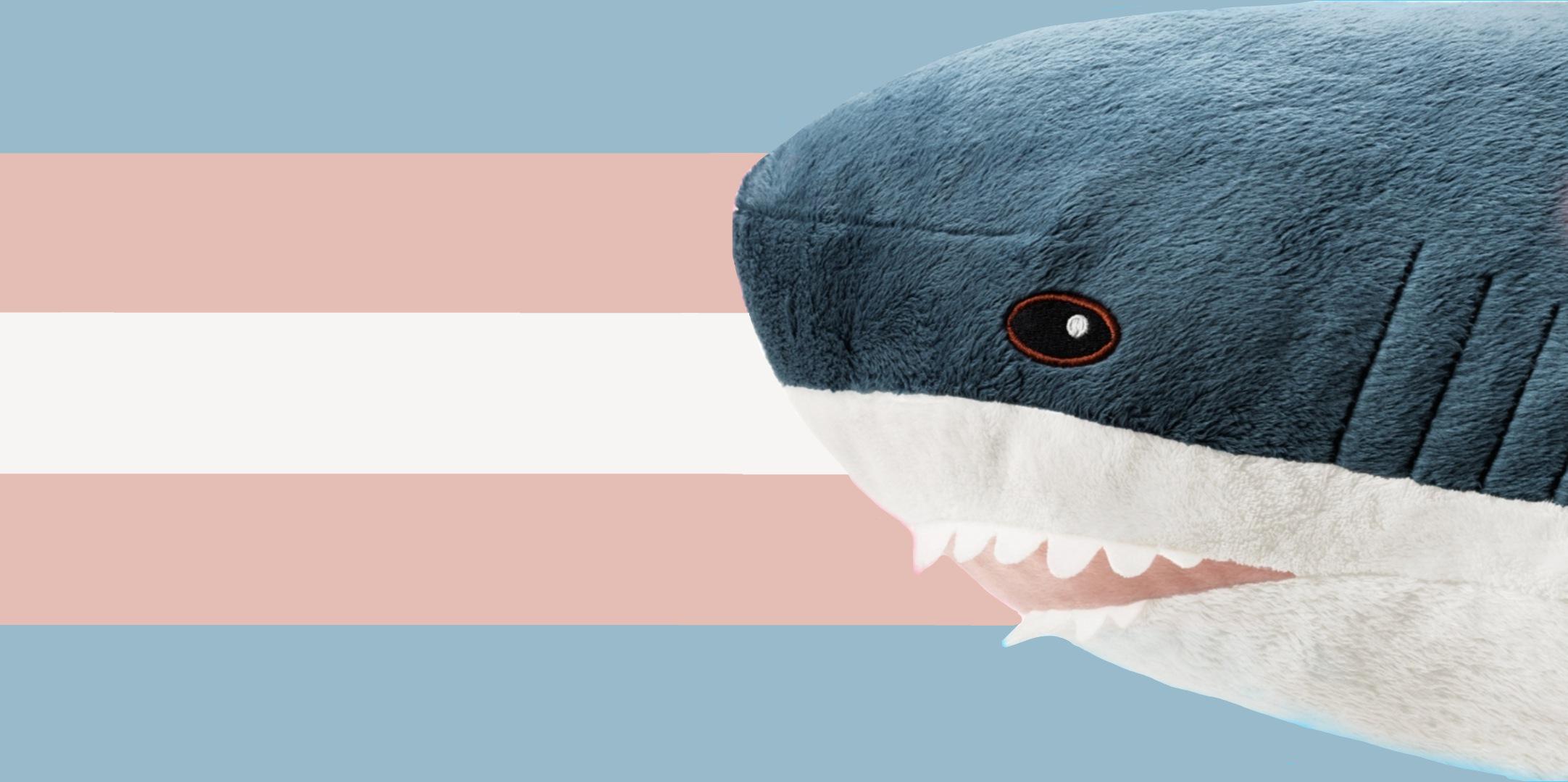 Banner Background