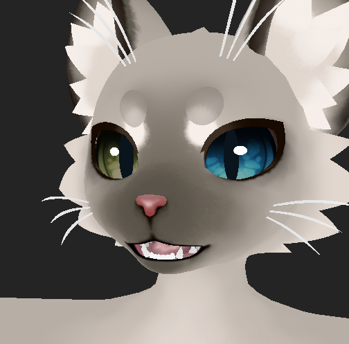Siamese Mayu Texture
