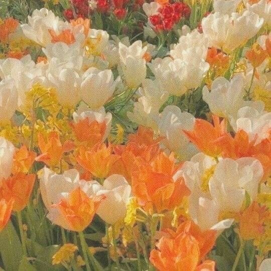 배너 배경