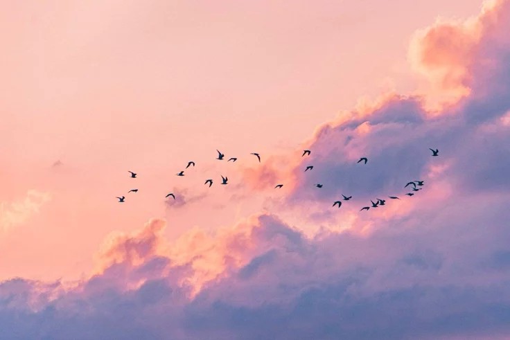 Banner-Hintergrund