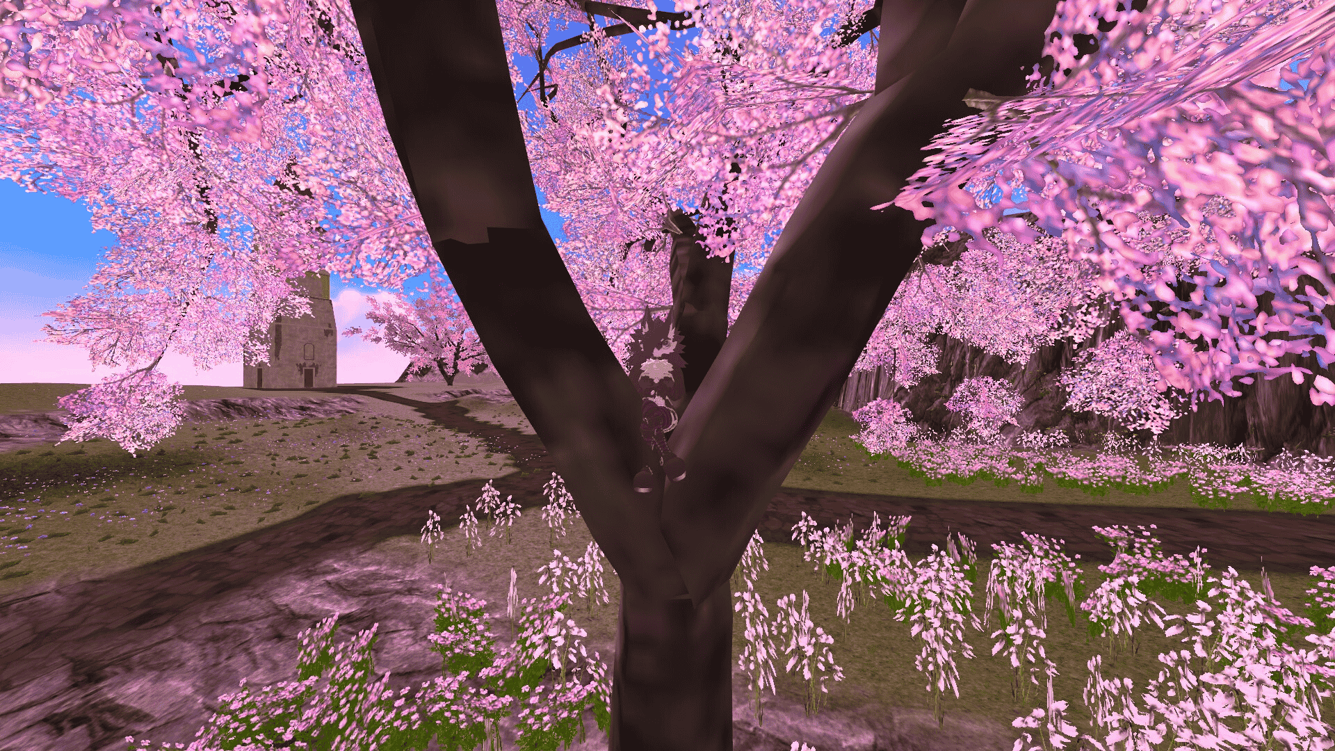 Banner Background