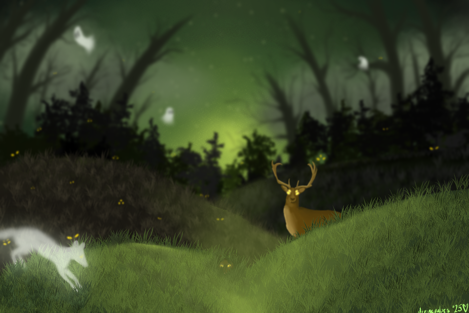 Banner Background