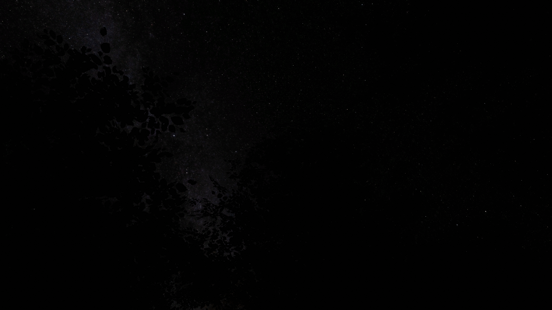 Banner Background