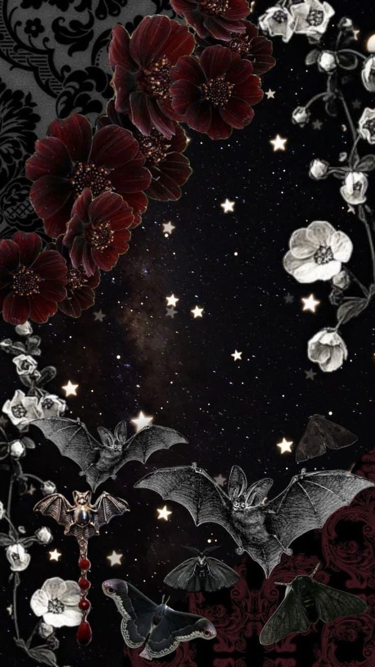 Banner Background