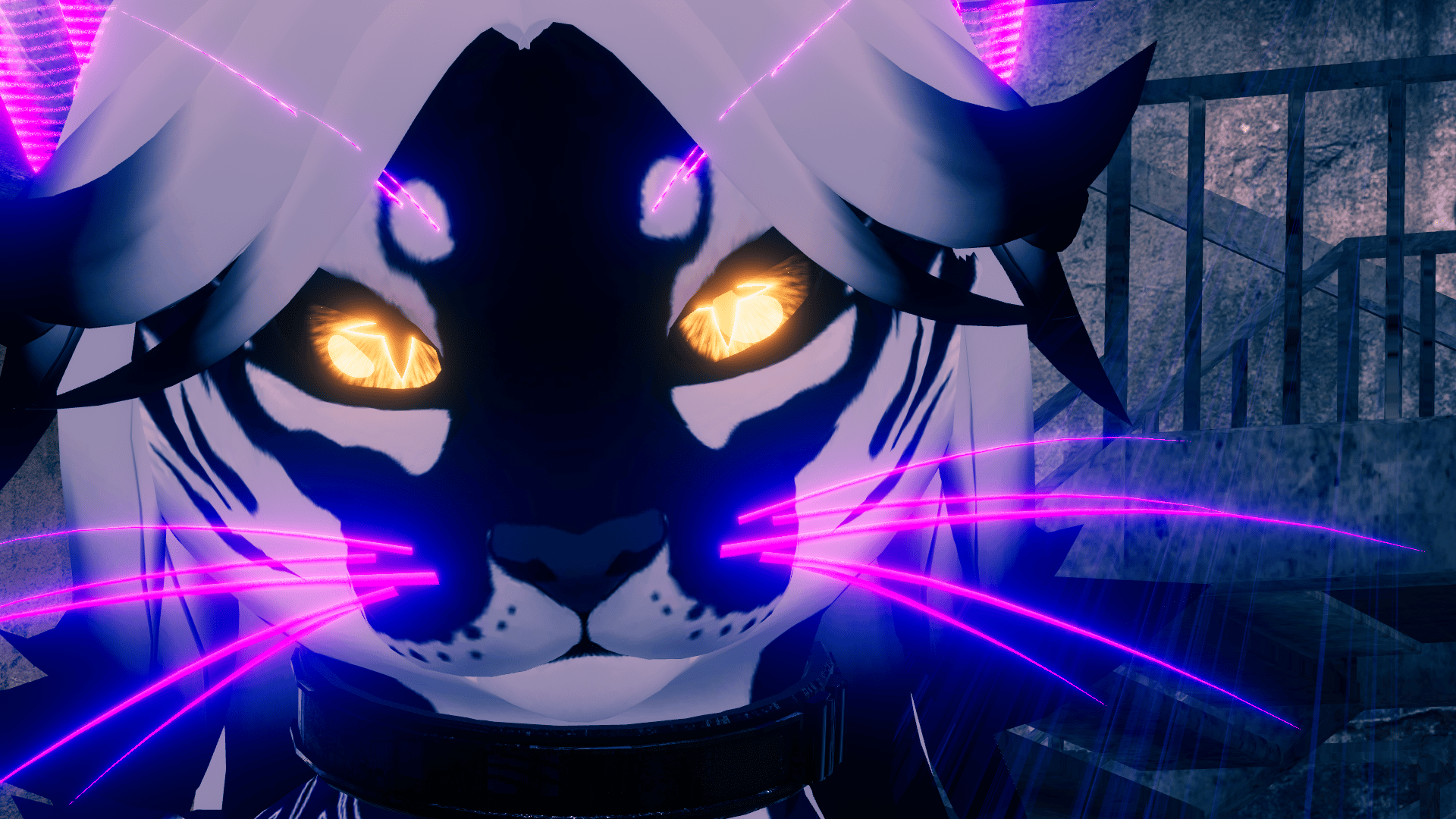 Banner Background