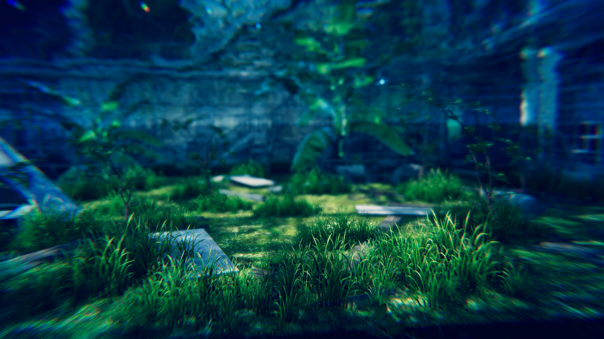 Banner Background