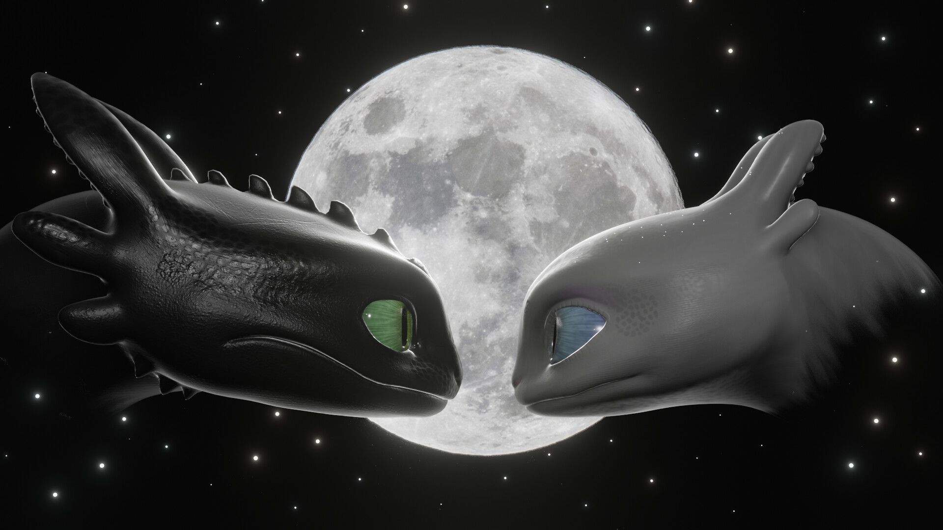 Banner Background