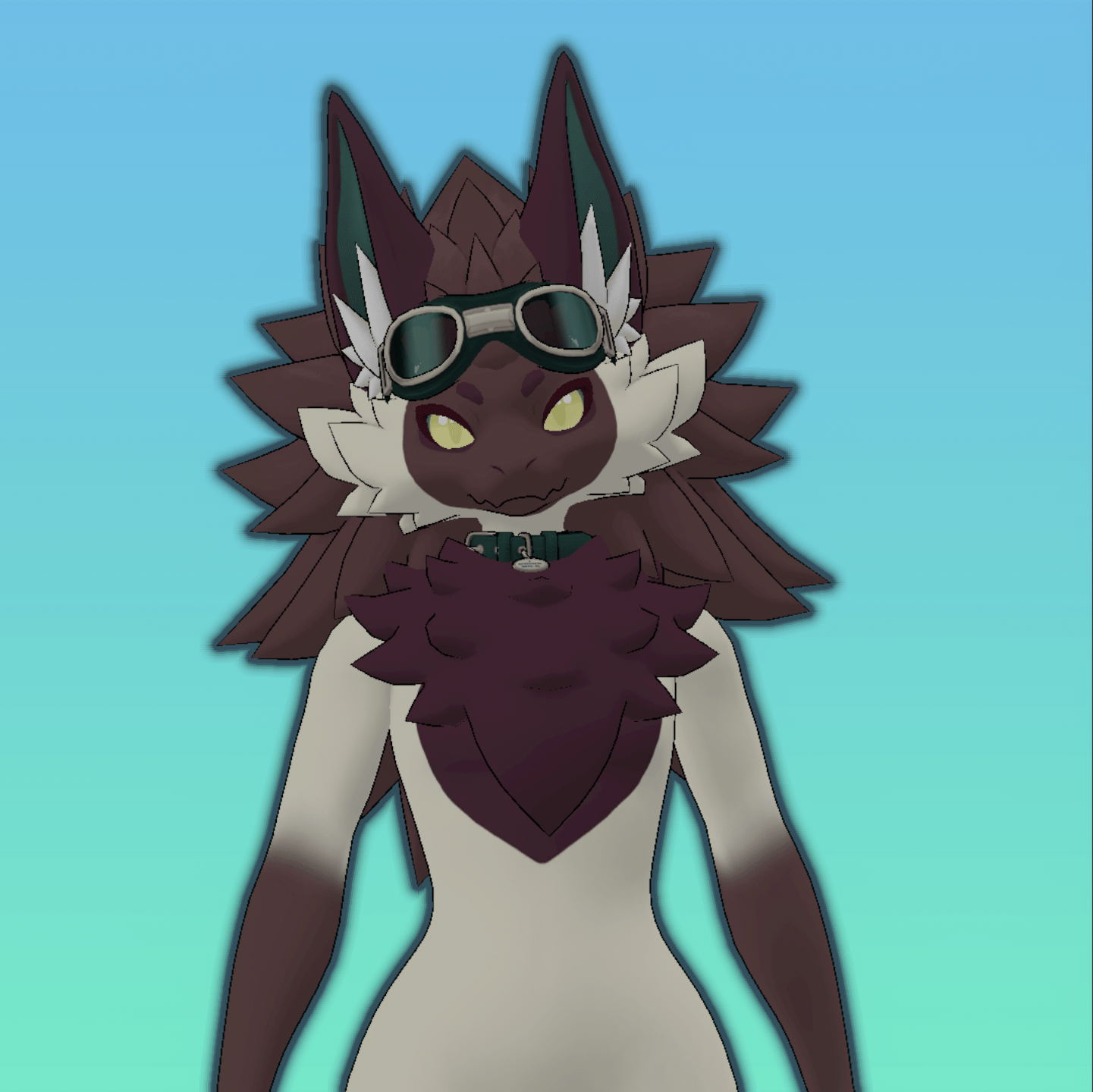 Siamese Cat Nova